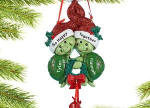 holiday personalized turtle couple christmas ornament – Christmas ornament, holiday tree decoration or gift