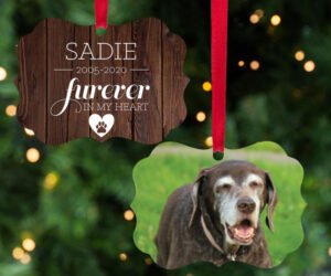 Furever in My Heart Pet Metal Photo Personalized Christmas Ornament