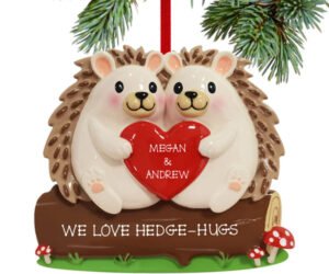 Hedgehog Family Personalized Ornament - 2, 3, 4, 5, 6 Family Members