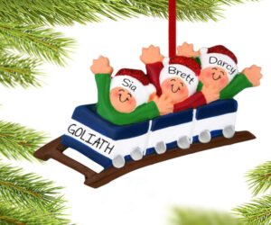 Roller Coaster Family Personalized Figure Ornament - 3, 4, 5, 6 Family Members
