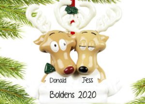 Reindeer Family Personalized Ornament - 2, 3, 4, 5, 6, 7 Family Members