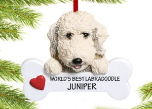 personalized personalized labradoodle christmas ornament – Christmas ornament, holiday tree decoration or gift